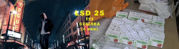 гашик Кулебаки