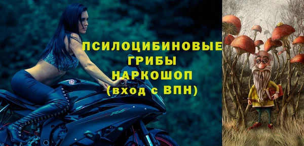 гашик Кулебаки