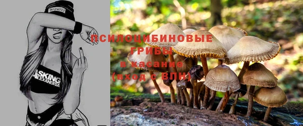 СК Куйбышев
