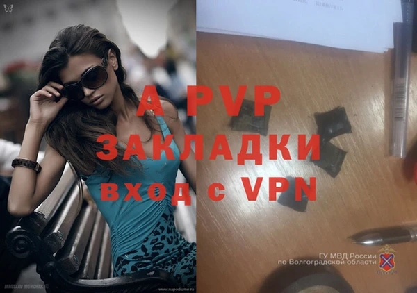 альфа пвп Кукмор