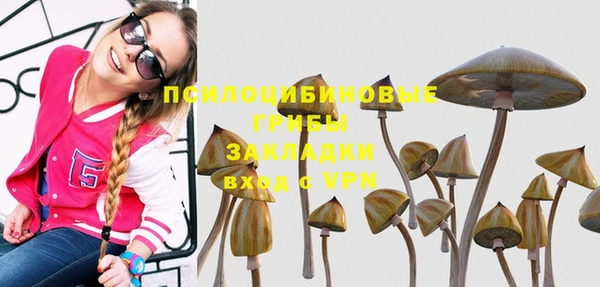 СК Куйбышев