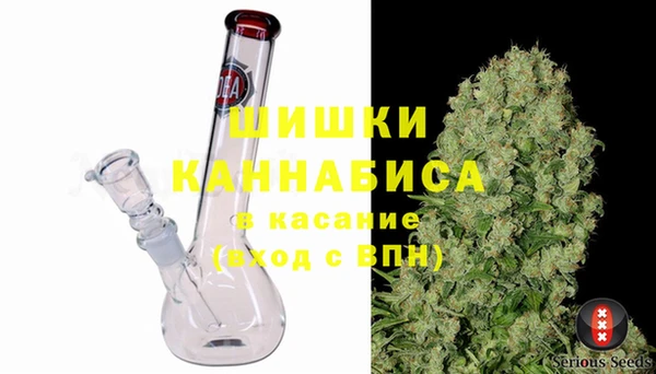 гашик Кулебаки