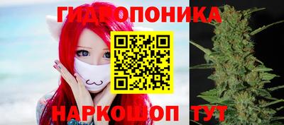 гидра Аргун