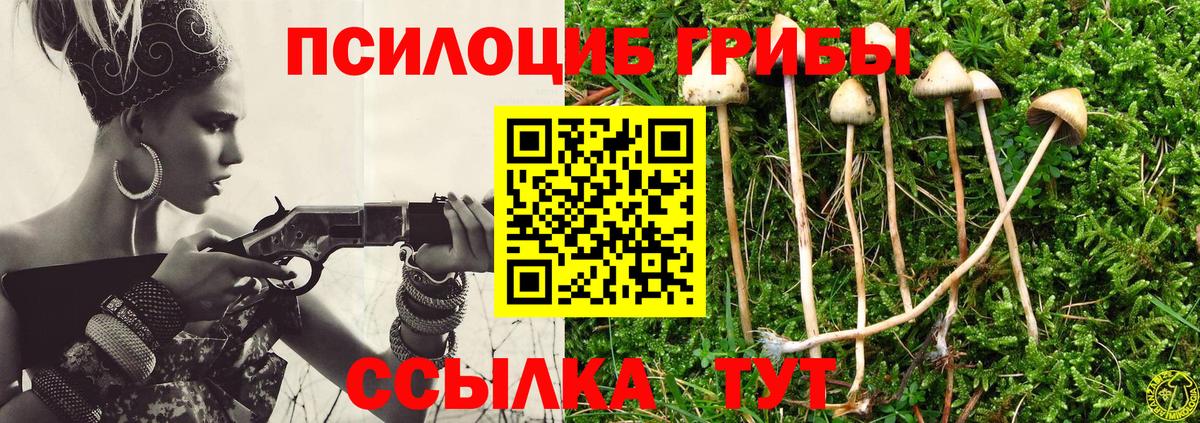 Псилоцибиновые грибы Cubensis Бердск