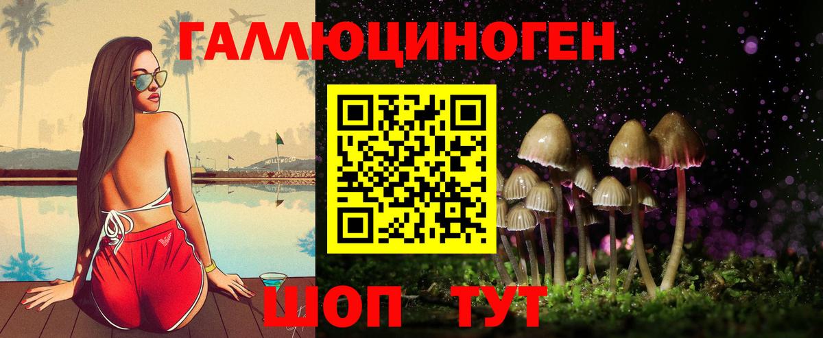 Галлюциногенные грибы мухоморы  Вход с VPN  Бердск 